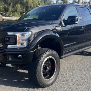 2019 Ford Shelby F-150 4x4